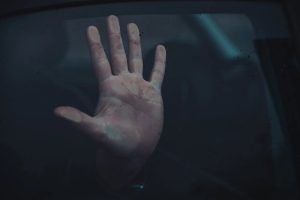 63213651
