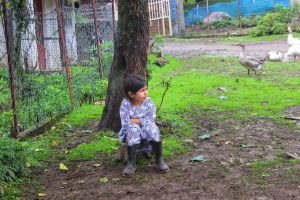 IMG_20250916_102935_429