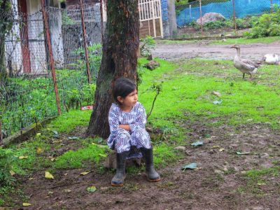 IMG_20250916_102935_429