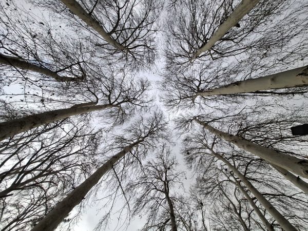 IMG_20250114_000303_831