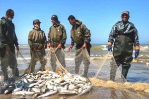 IMG_20251123_142116_061