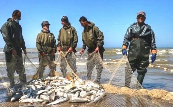 IMG_20251123_142116_061