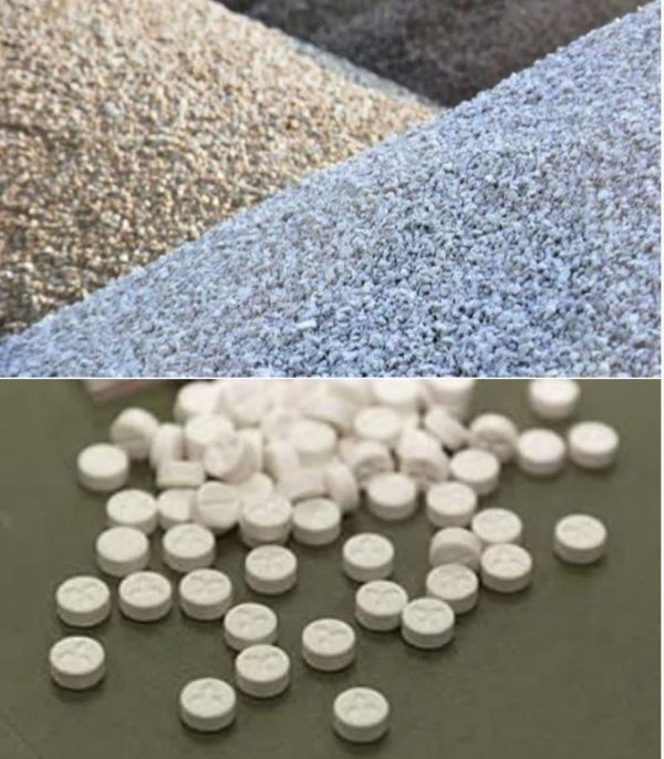 IMG_20260225_115401_227