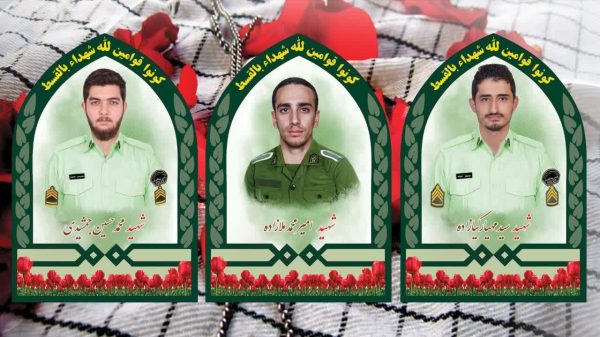 IMG_20241203_115541_718