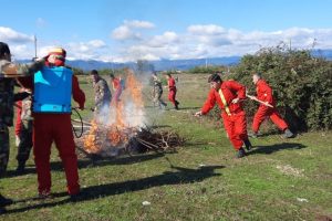 IMG_20241028_175815_484