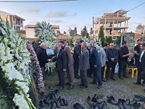 IMG_20251101_221537_868