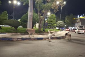 IMG_20251107_002504_378