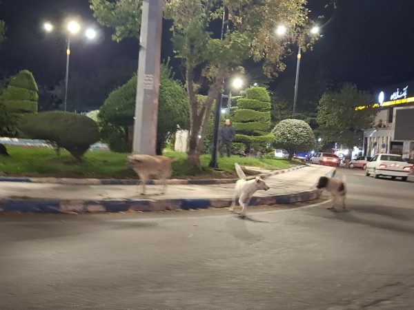 IMG_20251107_002504_378