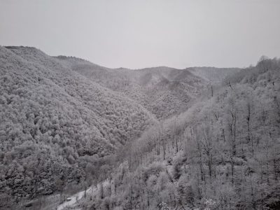 IMG_20241215_014543_930