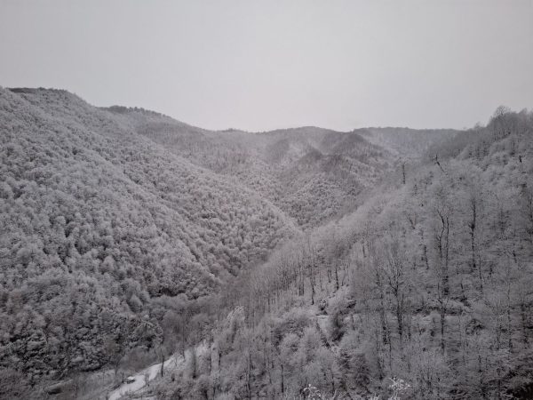 IMG_20241215_014543_930