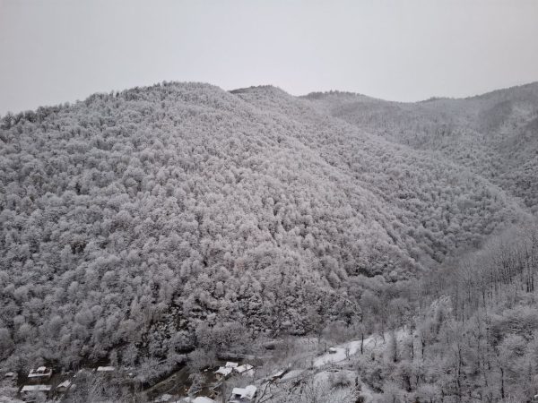 IMG_20250207_104247_718